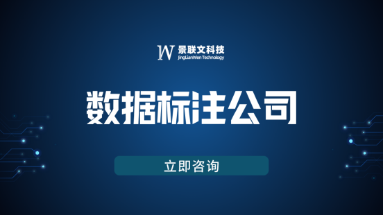 数据标注公司星辉注册科技：专业数据标注服务驱动AI创新与产业升级